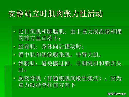 平衡與協(xié)調(diào)功能評估與訓練
