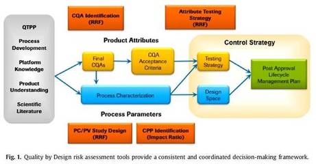應(yīng)用QbD原理進(jìn)行單克隆抗體開(kāi)發(fā)的介紹